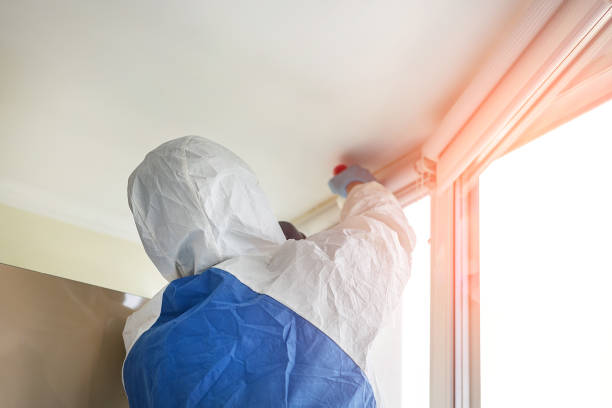 Best Mold Damage Restoration  in Ash Grove, MO