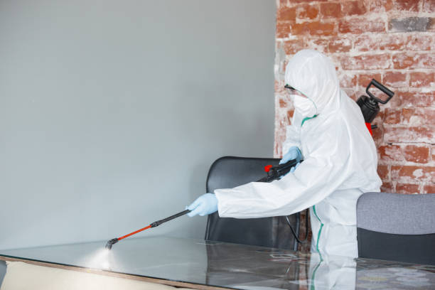 Best Mold Odor Removal Services  in Ash Grove, MO