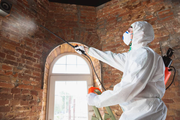 Best Mold Remediation for Healthcare Facilities  in Ash Grove, MO