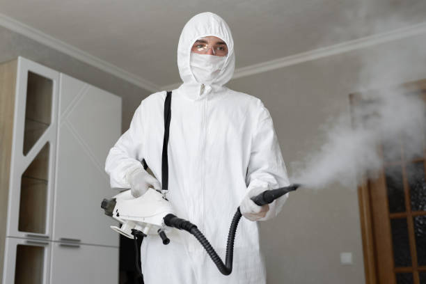 Best Emergency Mold Remediation  in Ash Grove, MO