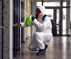 Trusted Ash Grove, MO Mold Removal Services Experts