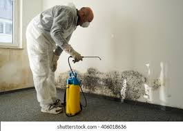 Best Industrial Mold Remediation  in Ash Grove, MO